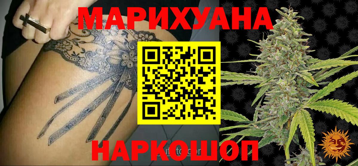Каннабис конопля Кисловодск